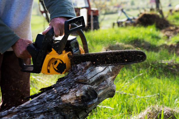 Best Emergency Tree Removal  in Lockeford, CA